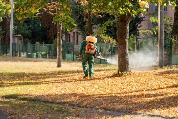 Best Pest Control Near Me  in Springville, NY